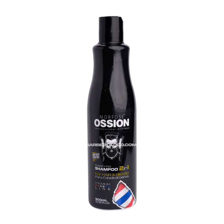Shampoo 2in1 for Hair and Beard 500 ml